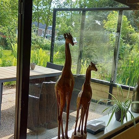 Natuurhuisje Eartswoud Aartswoud Eksteriør billede