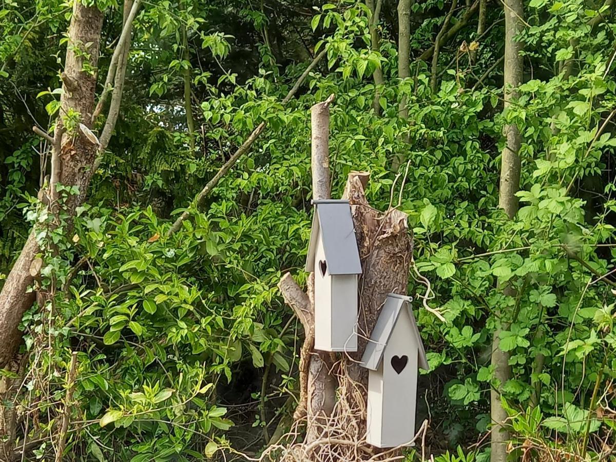 Natuurhuisje Eartswoud Aartswoud Eksteriør billede