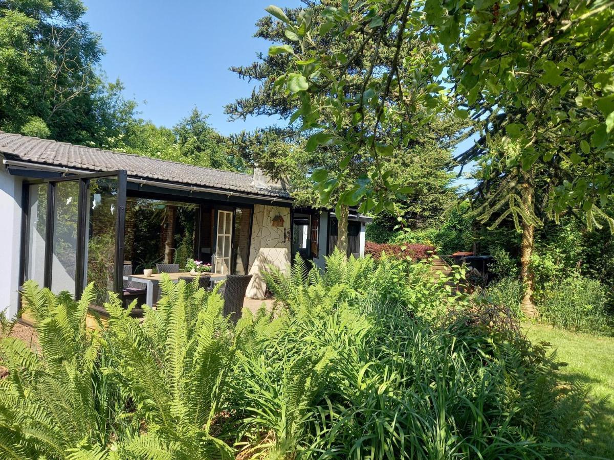Natuurhuisje Eartswoud Aartswoud Eksteriør billede